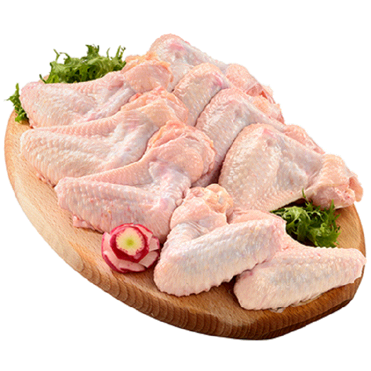 slika