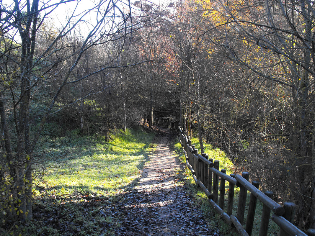 El Forestal-Villaviciosa de Odón_05