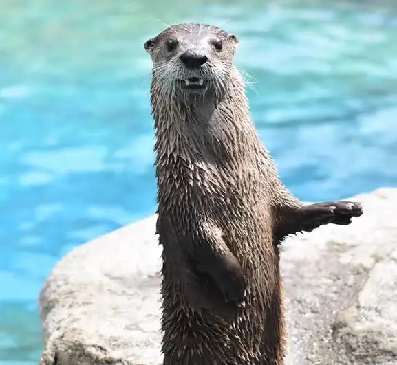 image 2026 02 07 155849946