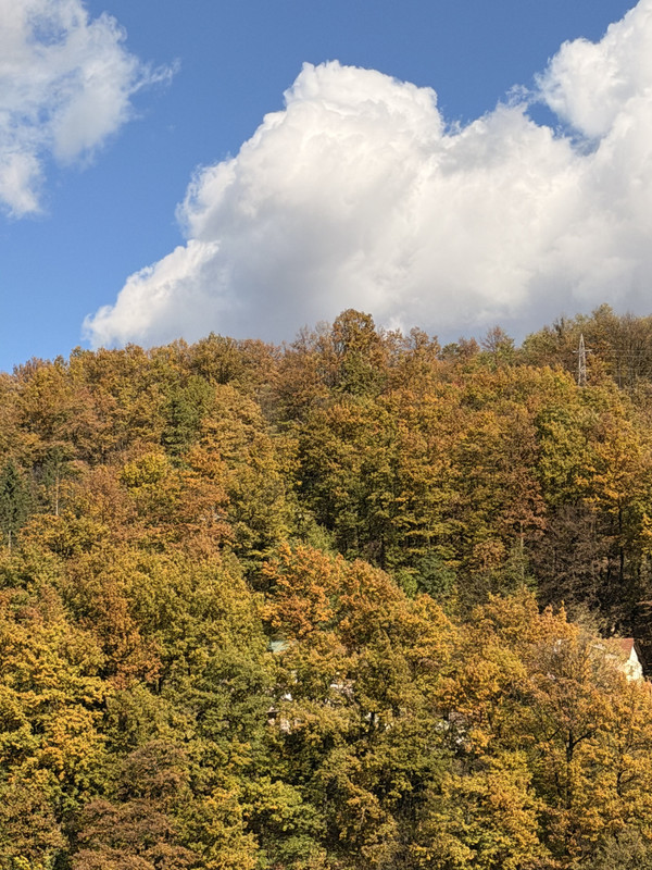 IMG-0070.jpg