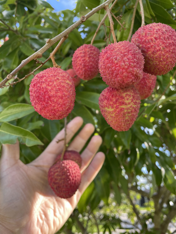 826F3E5C-301D-4441-811F-BFDBD5802A23