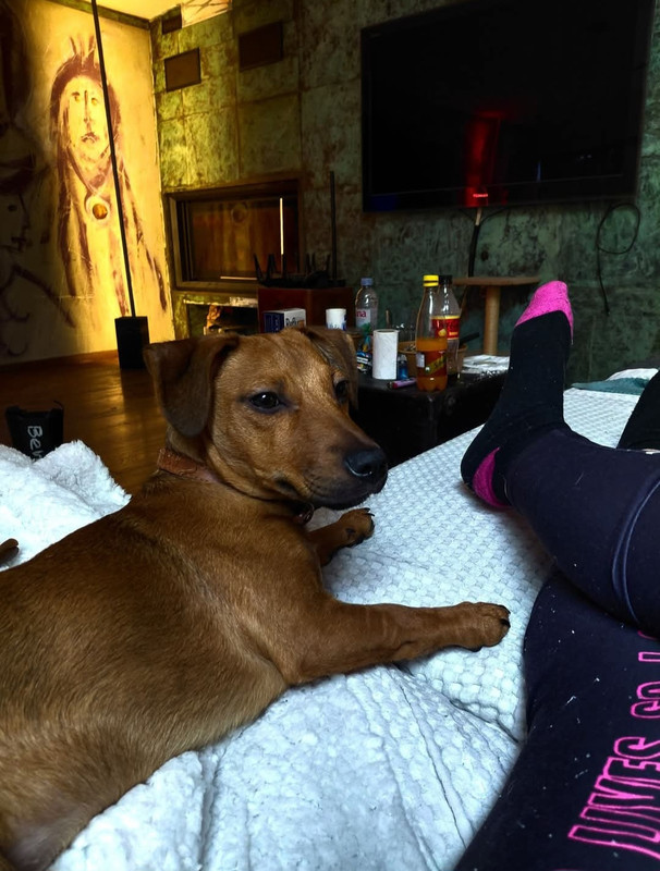 Screenshot 20260417 170355 Facebook