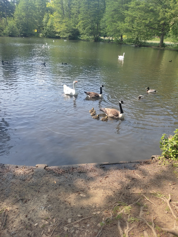 [Image: IMG-20250508-161730.jpg]