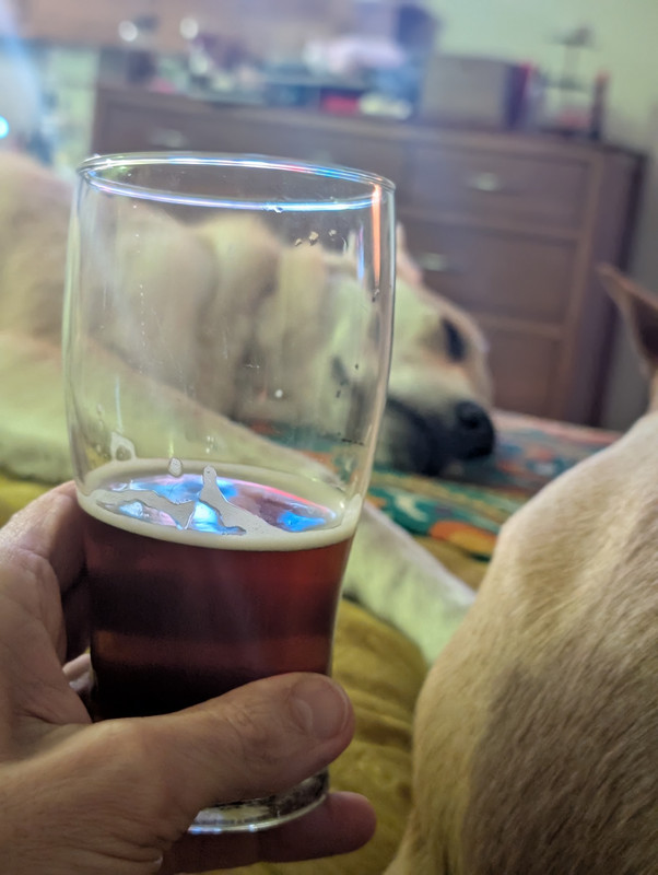 PXL 20251229 025402747 PORTRAIT