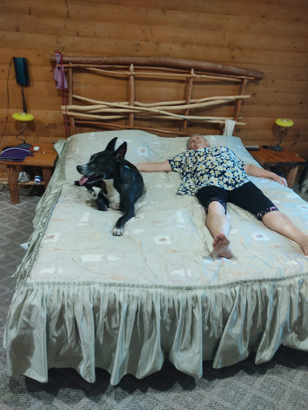 3DA064EA-78DC-441F-936D-7DD5614FF906