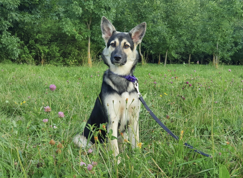 1DC6DF18-3015-49A4-9AF8-B3043AC70740