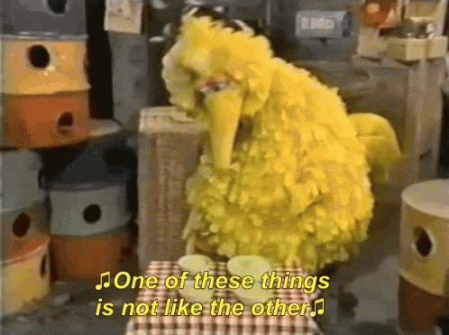 BigbirdOneOfTheseThingsIsNotLikeTheOthersGIF
