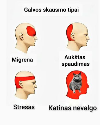Paveikslėlis