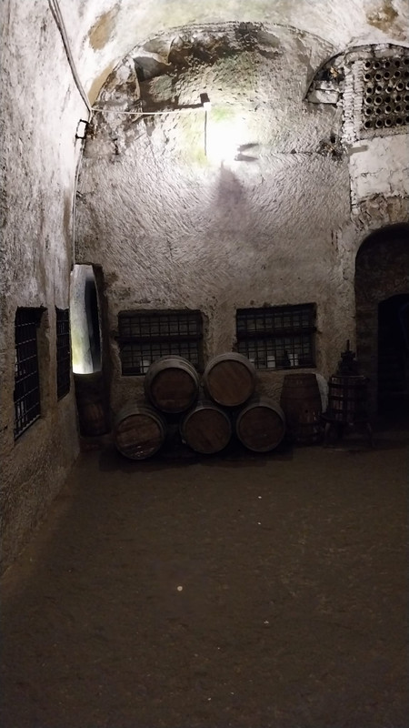 WhatsApp Image 2023-10-12 at 21.11.56 (2)