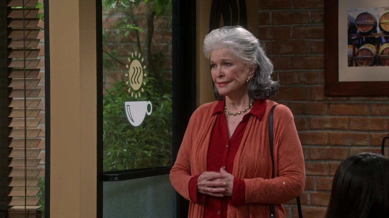 Mom (2013) - S03E01 - Terrorists and Gingerbread (1080p WEB-DL x