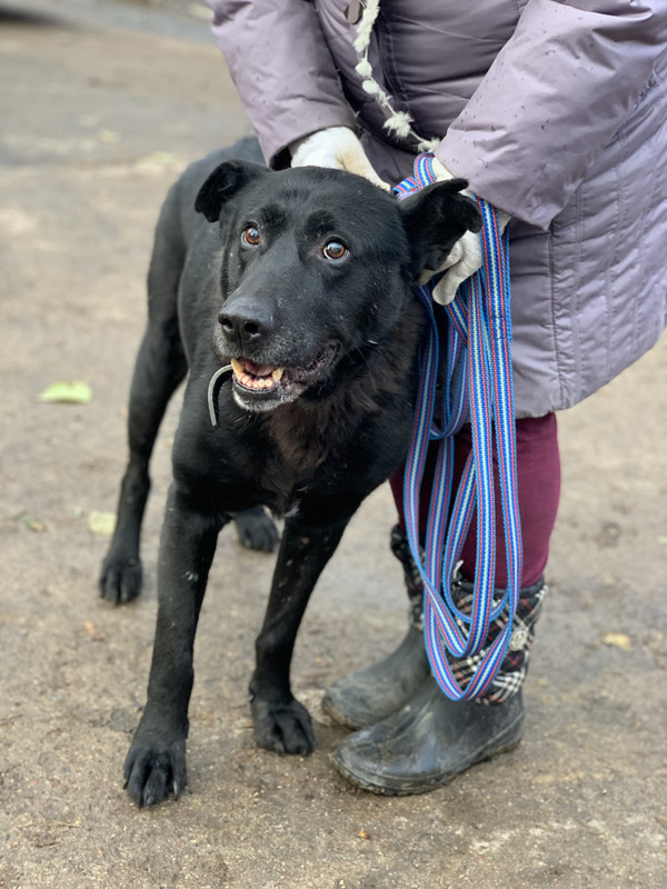 06822C88-CEA0-4B5F-8EA5-7219E7144677