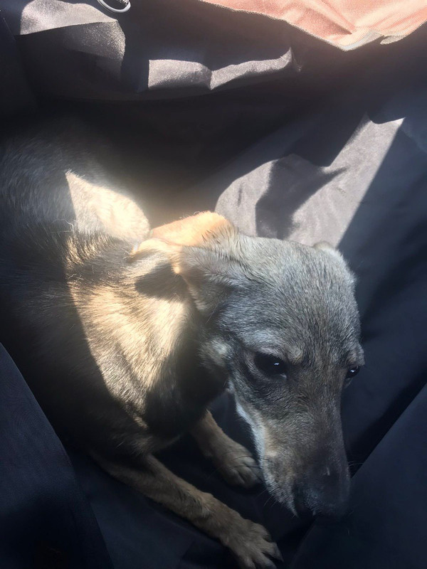 238FC4B2-8C31-476A-8901-4EF075FAA87F