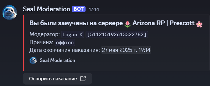 изображение_2025-05-27_171514175