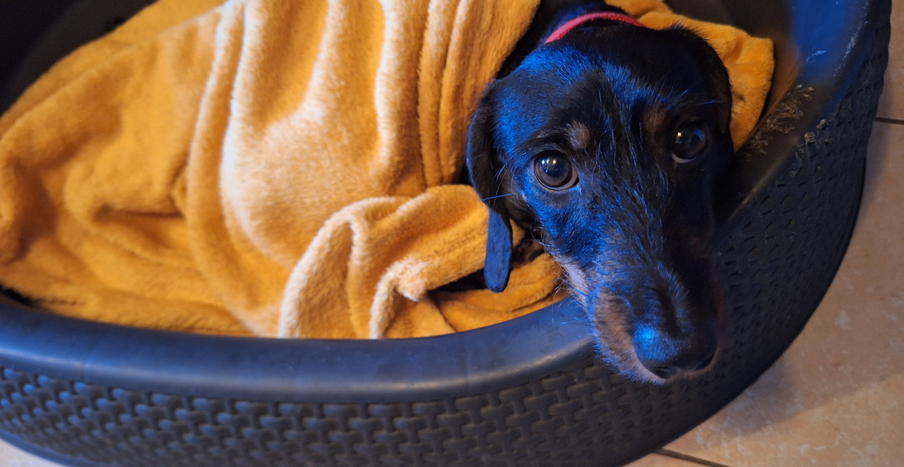 [Image: 20251126-145631.jpg]