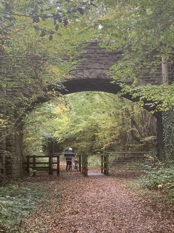 A1305F9D-9FD1-4533-8491-C4819F6653C4