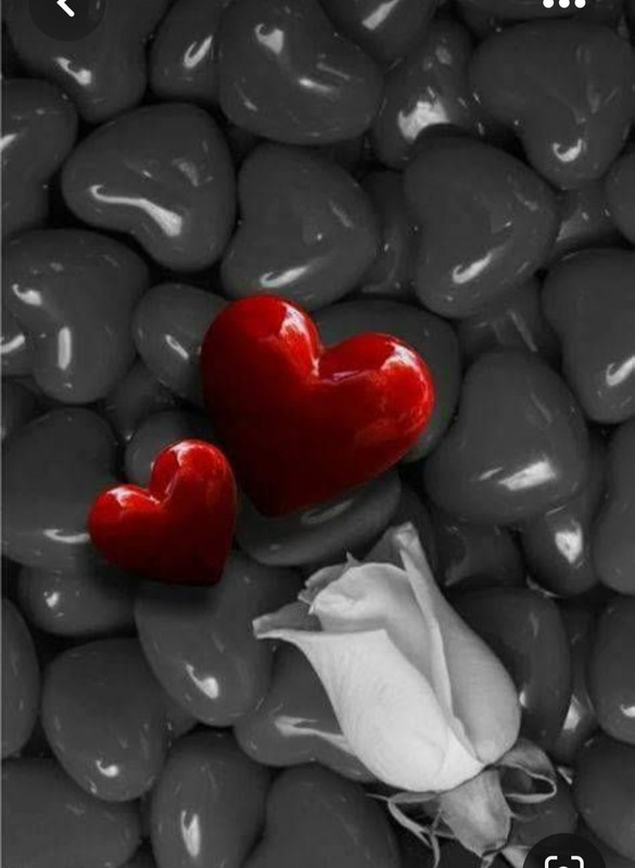 Screenshot_20230422_232503_Pinterest