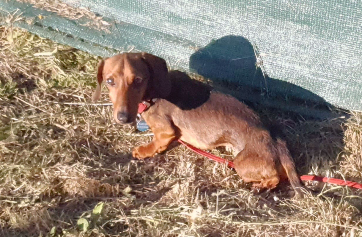 [Image: 20220712-215653.jpg]