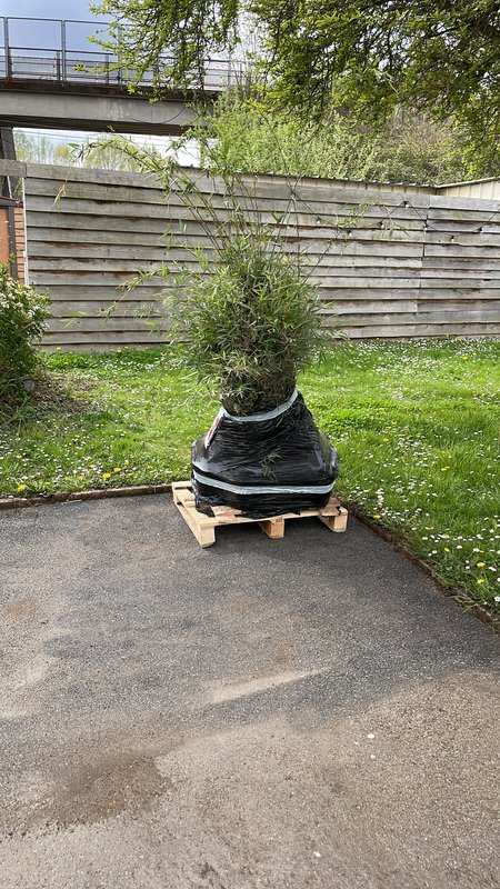 ABD100B1-B254-4CC5-AAB5-83E857F439FE