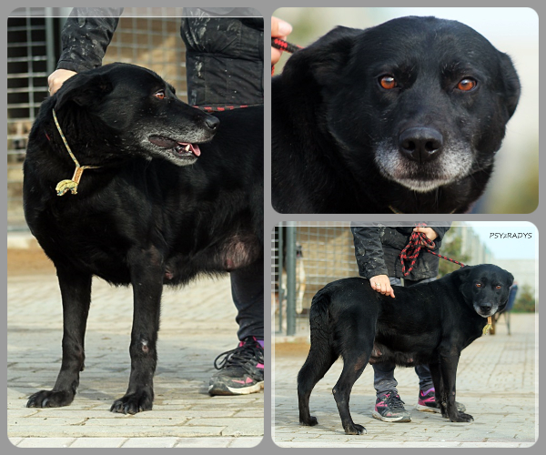 BeFunky-collage (17)