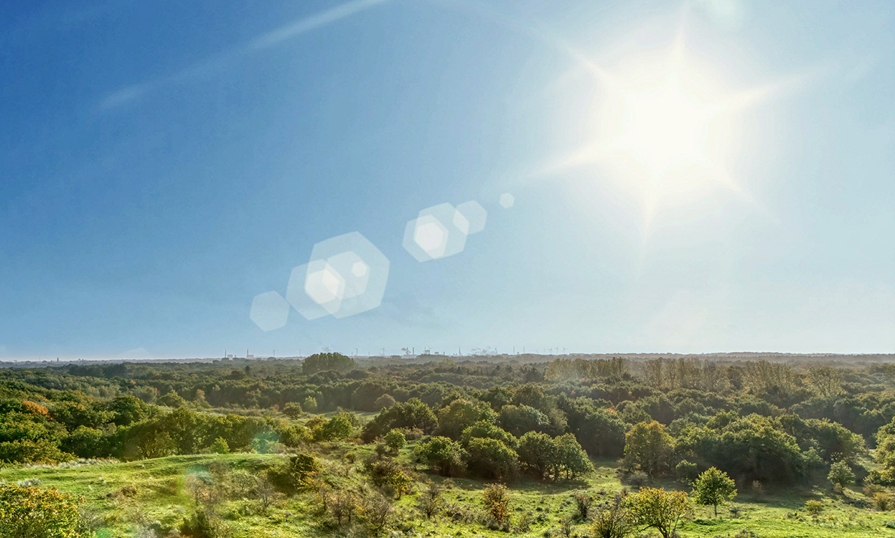 IMAGE: https://i.postimg.cc/VL3jzDCL/4-Luminar-copy.jpg