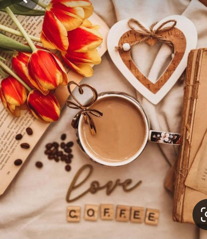 Screenshot_20230517_002051_Pinterest