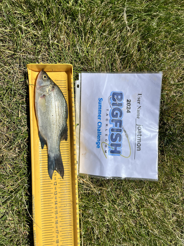 F74C8047-8FB9-4420-8EC2-61B7F923076B