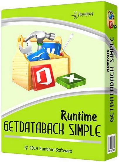 Runtime GetDataBack Simple 5.55