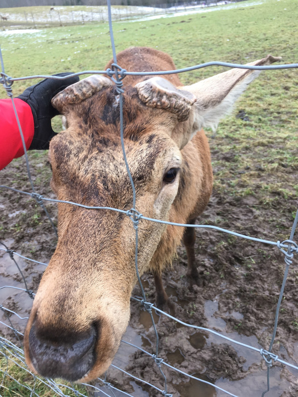 FAA68799-3942-4BAB-A177-8BC3B9A976CA