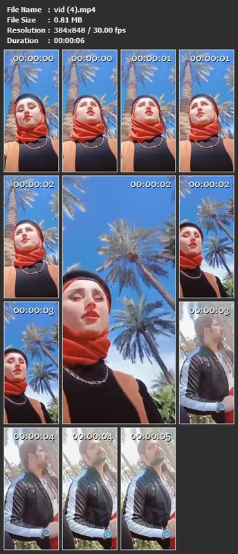 vid (4).mp4