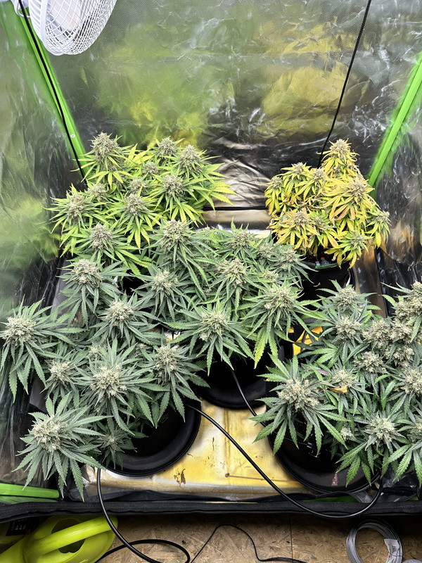 4CC72AA8-A24E-4076-BA38-6EC658E3E95E