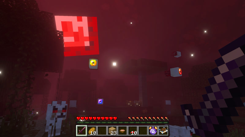 Image 6