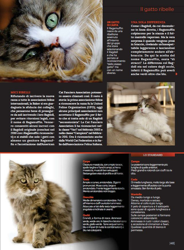 Ga Ma Dic 2022-Gen 2023 (10)