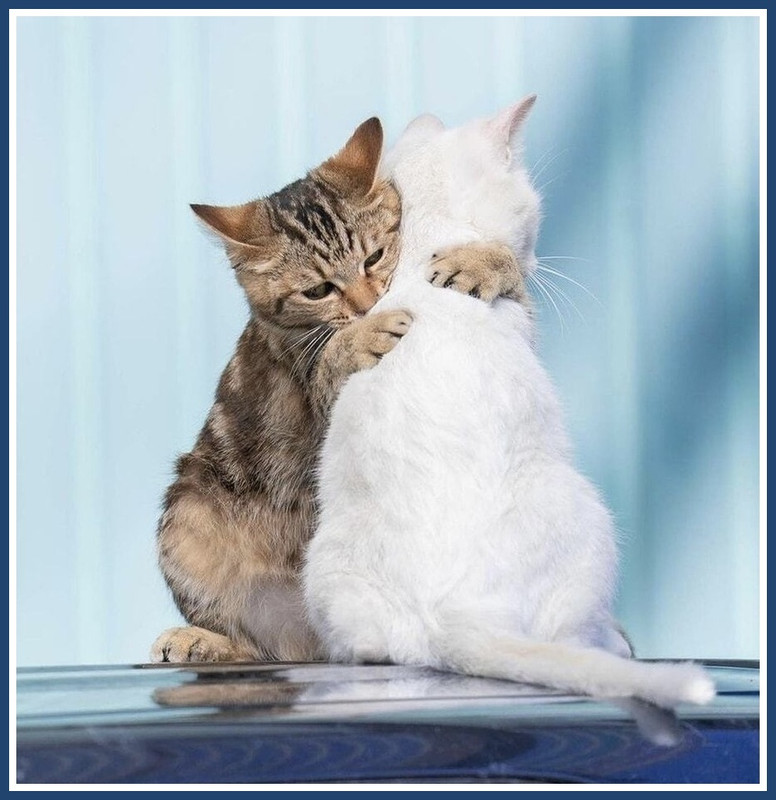 E4832D08-1E59-4DD3-8002-AB54467DDC90