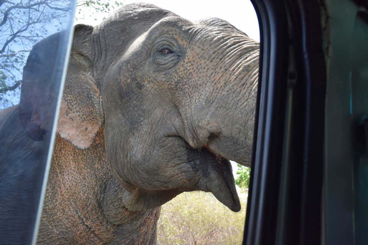 A5C4142A-E7C7-4D55-93E0-6B898408D1E8