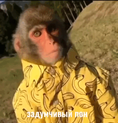sticker-9.gif