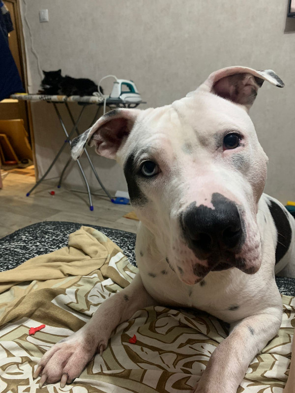 B916D7E1-3BC6-4E75-85E8-77E67C03FAB4