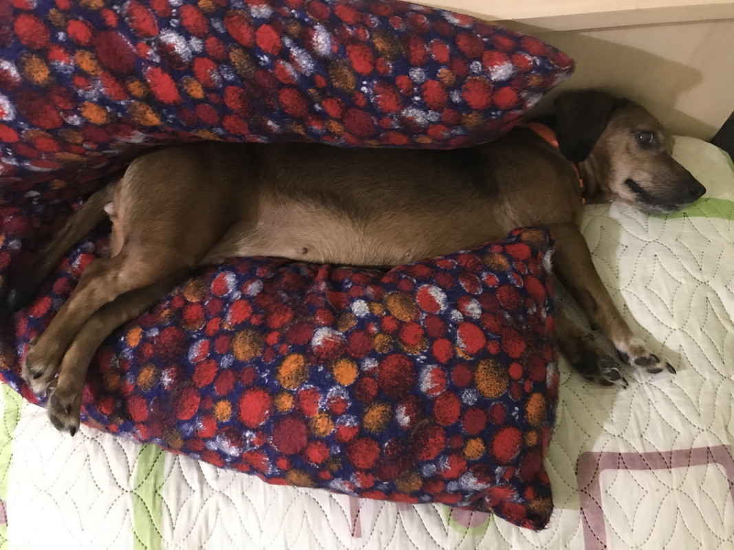 B679E34D-3049-431C-86BD-0DE5BBEA8A8D