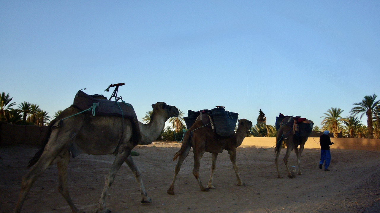 Mhamid el Ghizlane, en la frontera del Sáhara - El Valle del Drâa, la gran arteria del sur de Marruecos (42)
