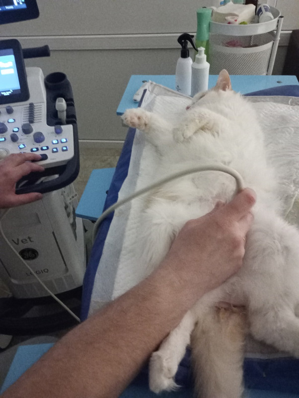 марс фото 5 сбор