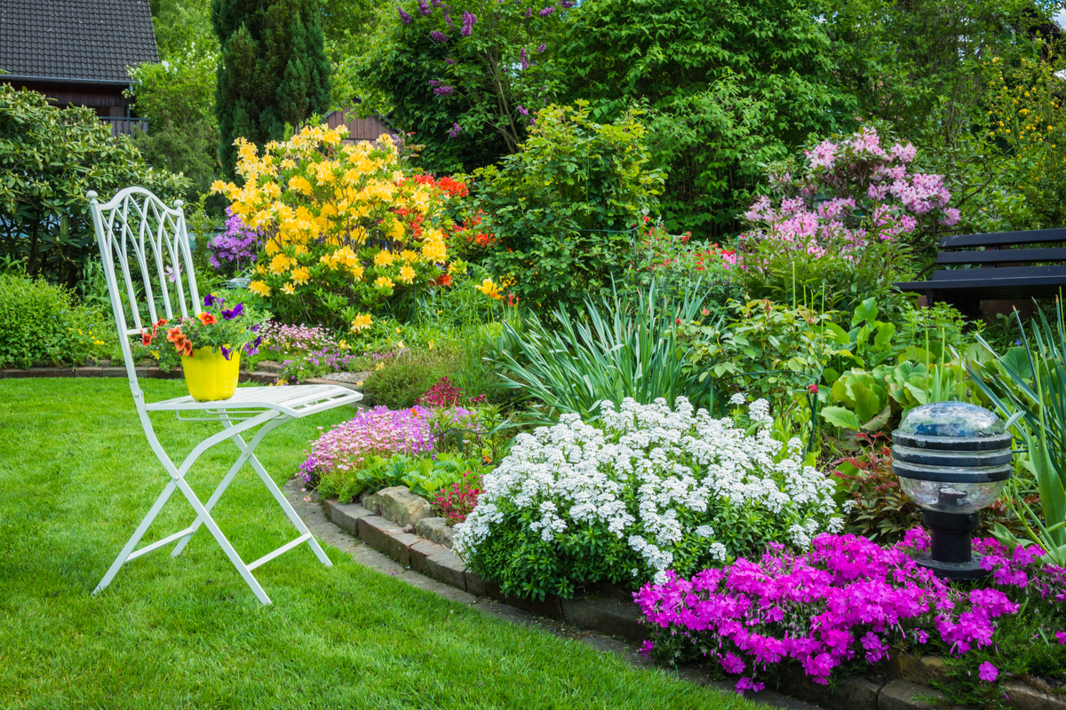 Best Perennial Flowers that Bloom All Summer