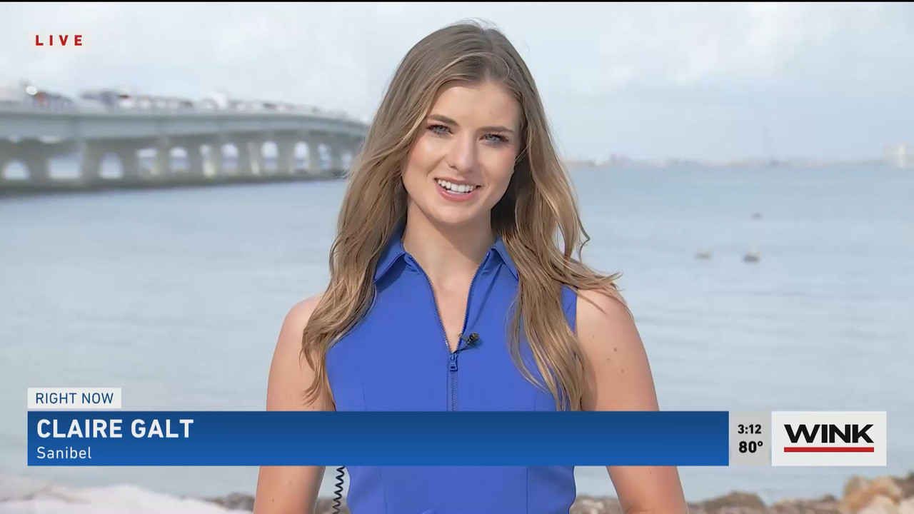 01.05 - 20.00.00 - WINK News at 3pm  ᴺᵉʷ..ts_snapshot_00.18.31.274