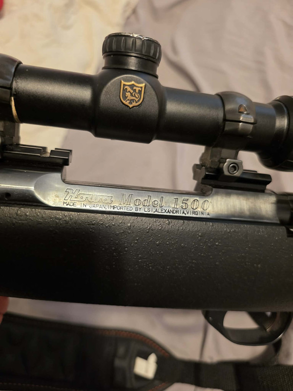 592359397 1152692523706375 8020026308845189859 n