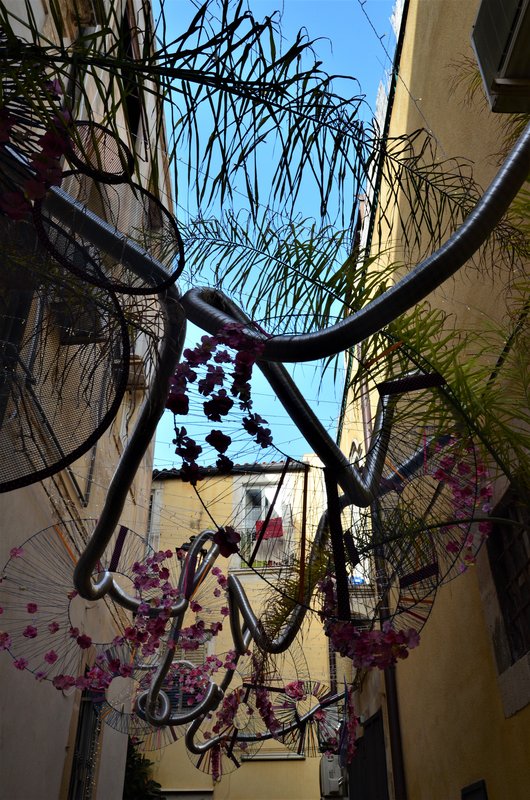 SIRACUSA-26-4-2019 - Italia y sus pueblos-2018/2019/2023 (104)