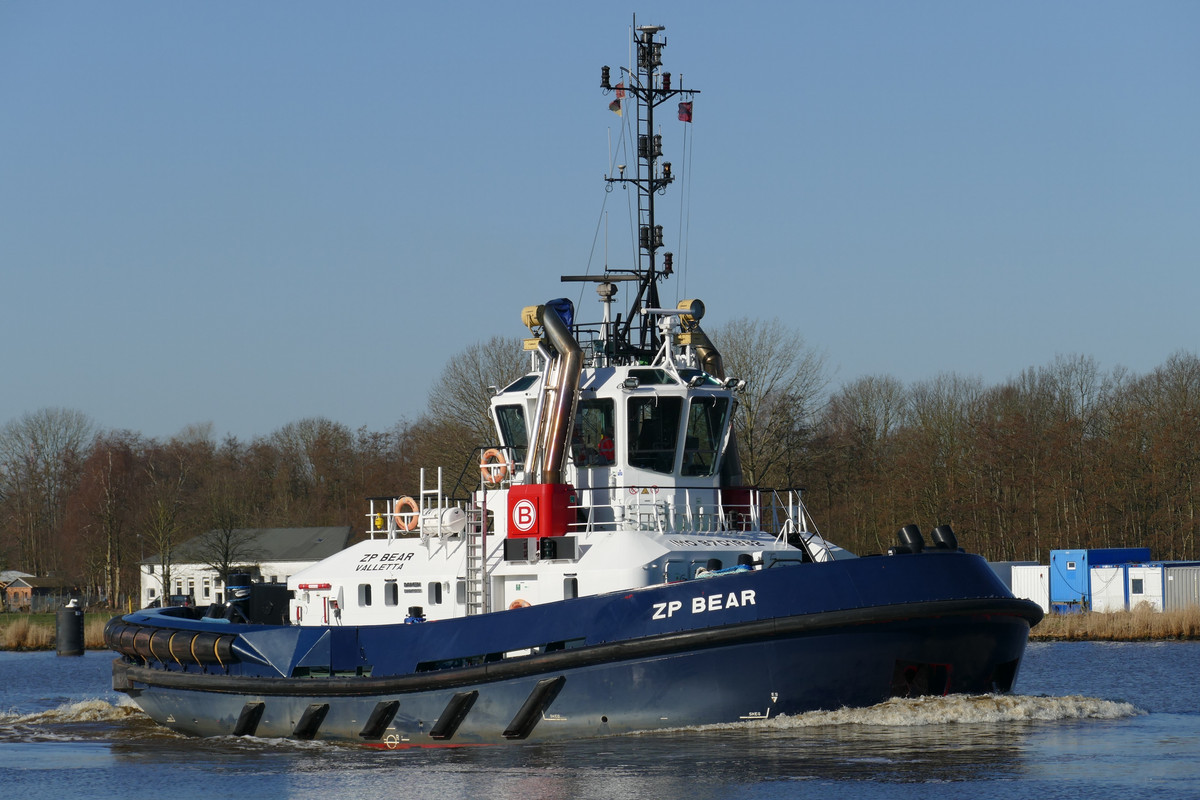 ZP Bear (OK-050322-1)