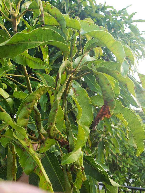 20190401_072233