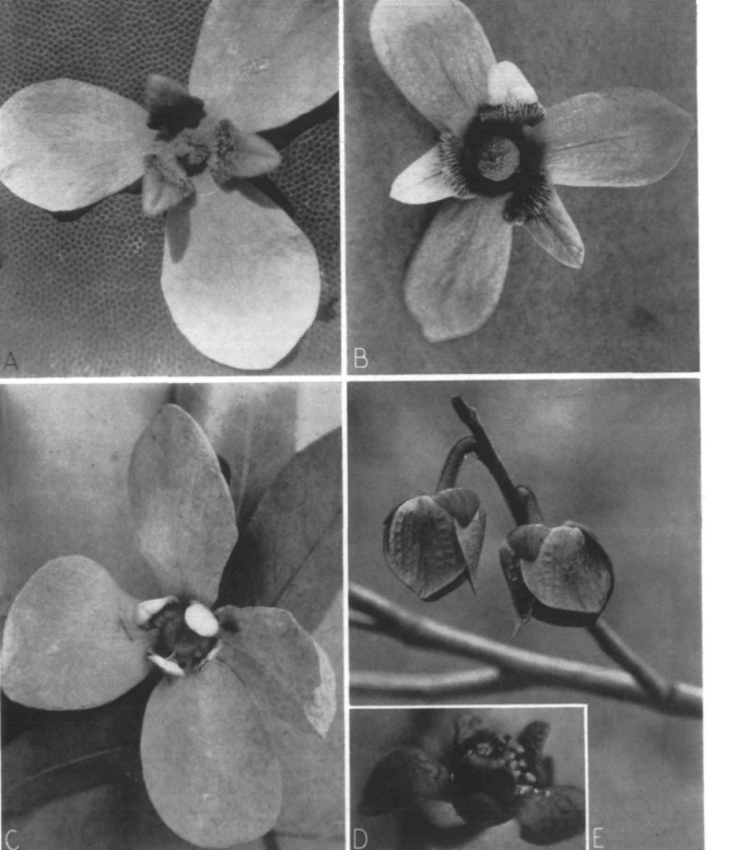 Screenshot 2026 01 28 174059