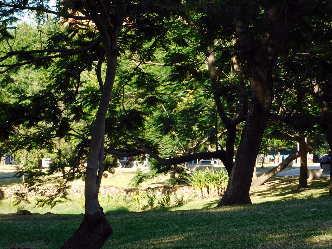 DSCN0336.jpg