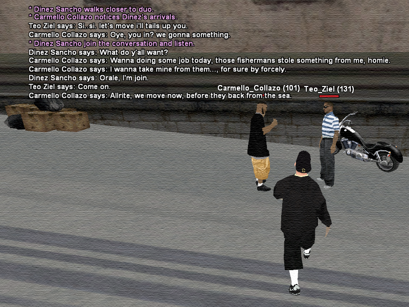 SSRoleplay222.png