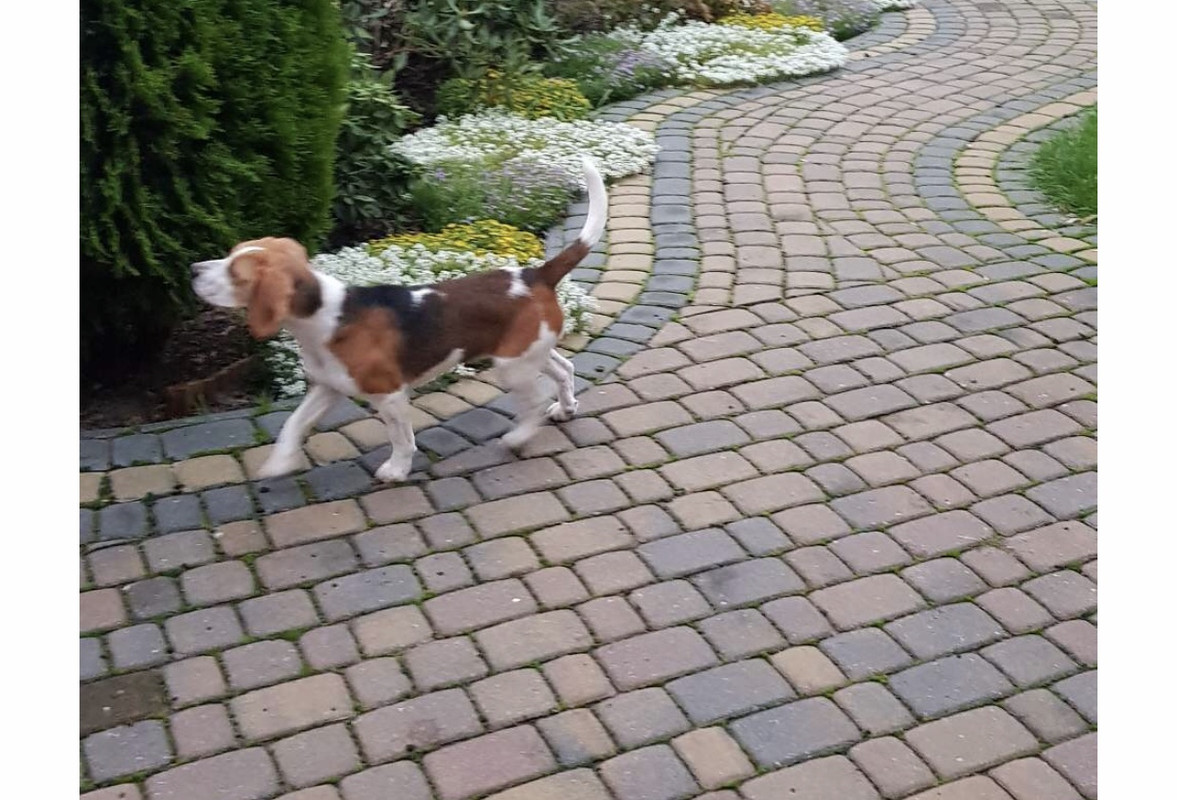 2BE506AA-6A42-42E4-9F6C-6F77BF751970