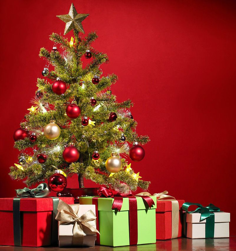 [Image: sapin-noel.jpg]